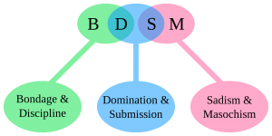 BDSM Diagramm