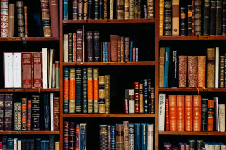 gut gefülltes Bücherregal